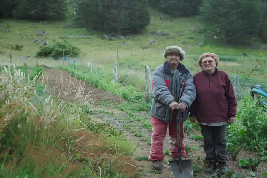 Los Sobrevivientes, Colonia Dignidad - galeria zdjęć - filmweb