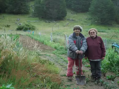 Los Sobrevivientes, Colonia Dignidad - galeria zdjęć - filmweb