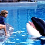 Free Willy - galeria zdjęć - filmweb