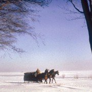 Onegin - galeria zdjęć - filmweb