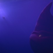 The Sea Beast - galeria zdjęć - filmweb