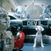 102 Dalmatians - galeria zdjęć - filmweb