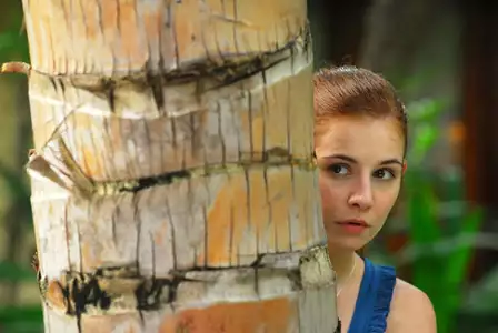 Turecki dla początkujących - galeria zdjęć - filmweb