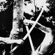 Rashômon - galeria zdjęć - filmweb