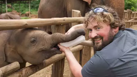 Szpital dla słoni - galeria zdjęć - filmweb