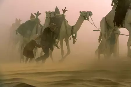 W pustyni i w puszczy - galeria zdjęć - filmweb