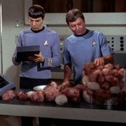 Star Trek - galeria zdjęć - filmweb