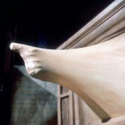 Videodrome - galeria zdjęć - filmweb