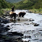 Grizzly Man - galeria zdjęć - filmweb