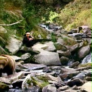 Grizzly Man - galeria zdjęć - filmweb