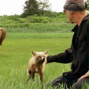 Grizzly Man - galeria zdjęć - filmweb