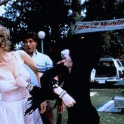 Elvira, władczyni ciemności - galeria zdjęć - filmweb