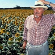 Vincent i Theo - galeria zdjęć - filmweb