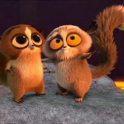 All Hail King Julien - galeria zdjęć - filmweb