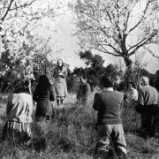 Viridiana - galeria zdjęć - filmweb