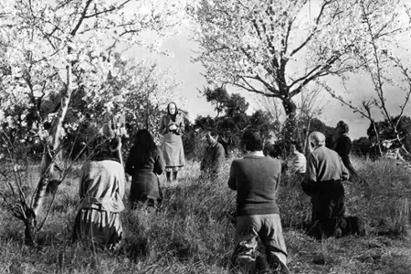 Viridiana - galeria zdjęć - filmweb