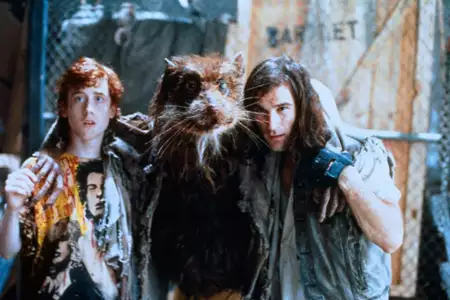 Wojownicze Ż&oacute;łwie Ninja - galeria zdjęć - filmweb