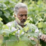 Promised Land - galeria zdjęć - filmweb