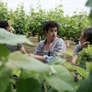 Obiecana kraina - galeria zdjęć - filmweb