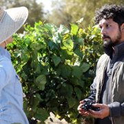 Promised Land - galeria zdjęć - filmweb