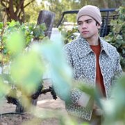 Promised Land - galeria zdjęć - filmweb
