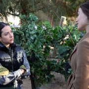 Promised Land - galeria zdjęć - filmweb