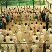 Arabia Kadali - galeria zdjęć - filmweb