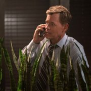 Shining Vale - galeria zdjęć - filmweb