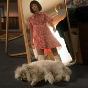 Shining Vale - galeria zdjęć - filmweb