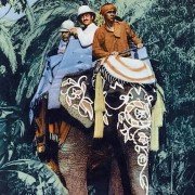 W 80 dni dookoła świata - galeria zdjęć - filmweb