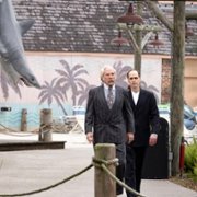 Jak zostać Bogiem na Florydzie - galeria zdjęć - filmweb