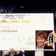 W krzywym zwierciadle: Wakacje w Vegas - galeria zdjęć - filmweb