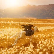 Ghost of Yotei - galeria zdjęć - filmweb