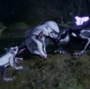 AWAY: The Survival Series - galeria zdjęć - filmweb