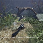 AWAY: The Survival Series - galeria zdjęć - filmweb