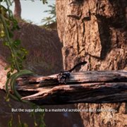 AWAY: The Survival Series - galeria zdjęć - filmweb