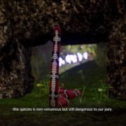AWAY: The Survival Series - galeria zdjęć - filmweb