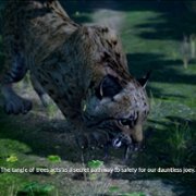 AWAY: The Survival Series - galeria zdjęć - filmweb