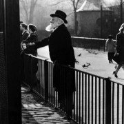 Miracle on 34th Street - galeria zdjęć - filmweb
