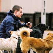 Z odzysku - galeria zdjęć - filmweb