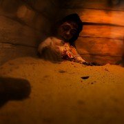 Ucieczka - galeria zdjęć - filmweb