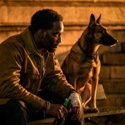 John Wick: Chapter 4 - galeria zdjęć - filmweb