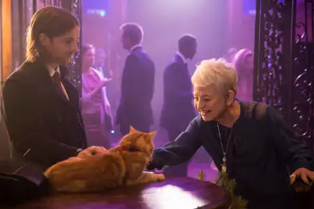 Świąteczny prezent od kota Boba - galeria zdjęć - filmweb