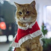 A Christmas Gift from Bob - galeria zdjęć - filmweb