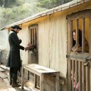The Luminaries - galeria zdjęć - filmweb
