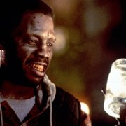 Wampir w Brooklynie - galeria zdjęć - filmweb