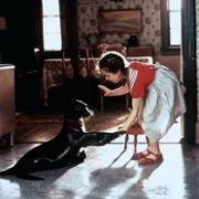 Andre - galeria zdjęć - filmweb