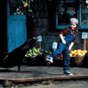Andre - galeria zdjęć - filmweb