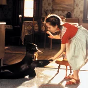 Andre - galeria zdjęć - filmweb