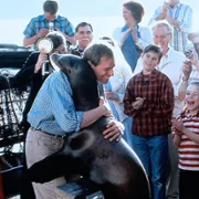Andre - galeria zdjęć - filmweb